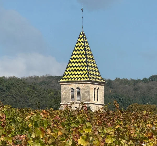 Nouveau Fixin en Côte de Nuits - La Bourgogne en Fête !