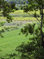 La Rendez-vous des Acolytes 2022 - Domaine des Accoles