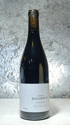 Fixin Les Chenevières 2023 - Domaine Ballorin et F