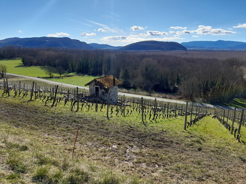 L'esperluette 2025 - Domaine de l'Arbessieux