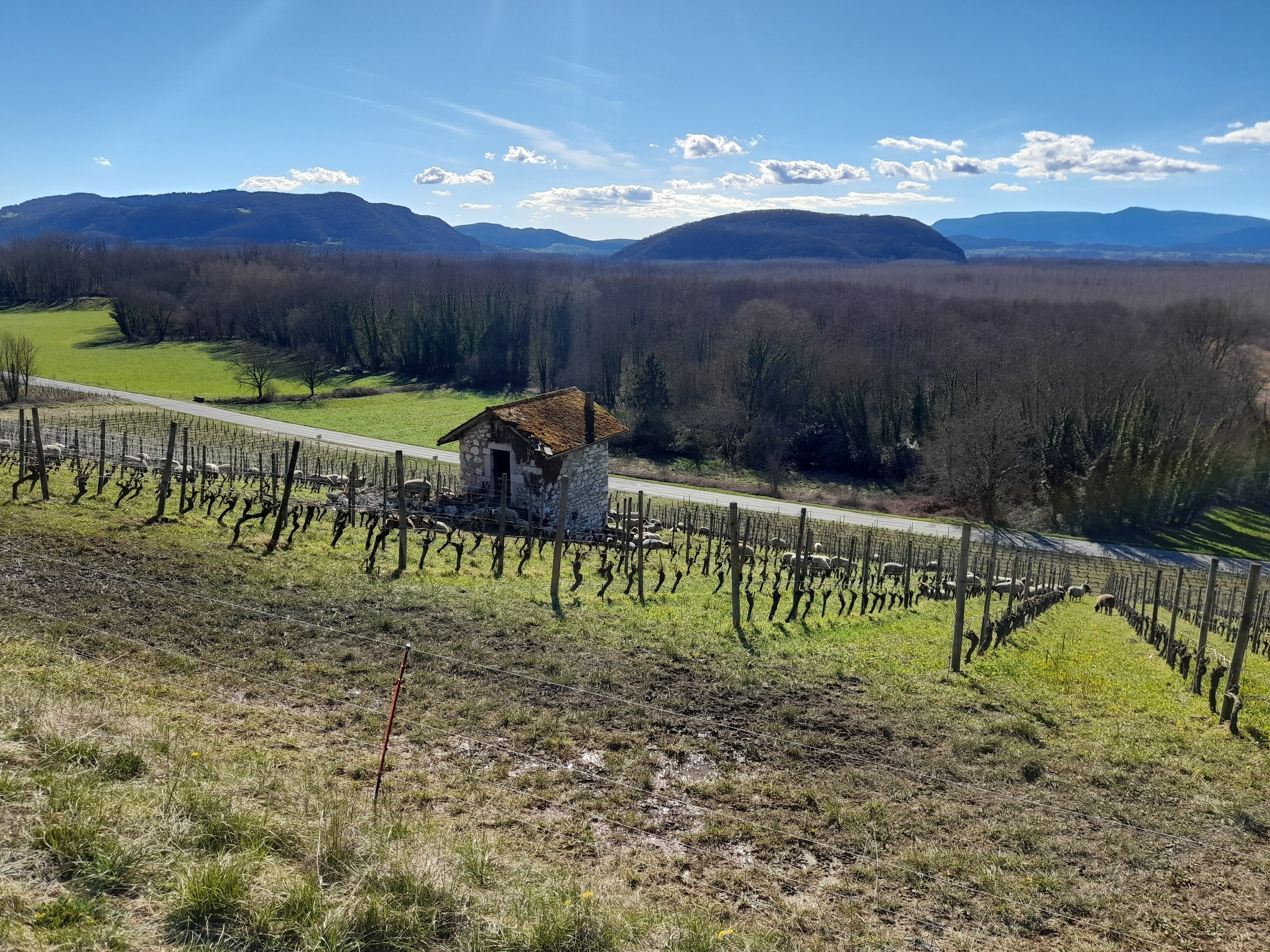 L'esperluette 2025 - Domaine de l'Arbessieux
