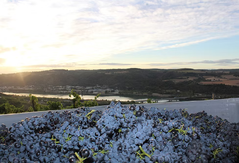 Les Traboules 2024 - Domaine Clusel-Roch