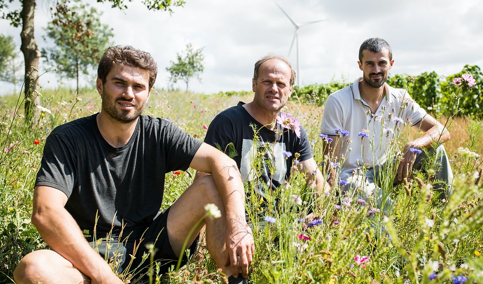 Haut des Clous 2021 -  Domaine Saint Nicolas