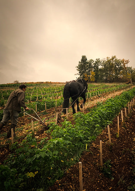 Tu Vin plus aux Soirées 2024 - Fabien Jouves