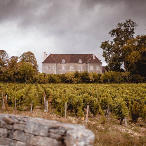 Chablis Montserre 2020 - Château De Beru