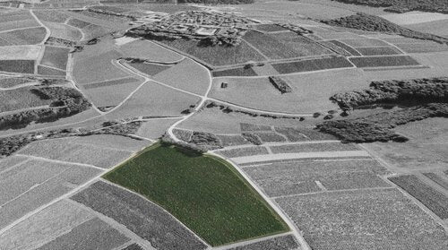 Terroir, Chablis, Montserre, Côte aux prêtres, Château De Béru, vin Bio, Biodynamie, Bio, Demeter, Béru, Bourgogne, Chardonnay, fossiles marins, vibratoire, calendrier, lunaire,