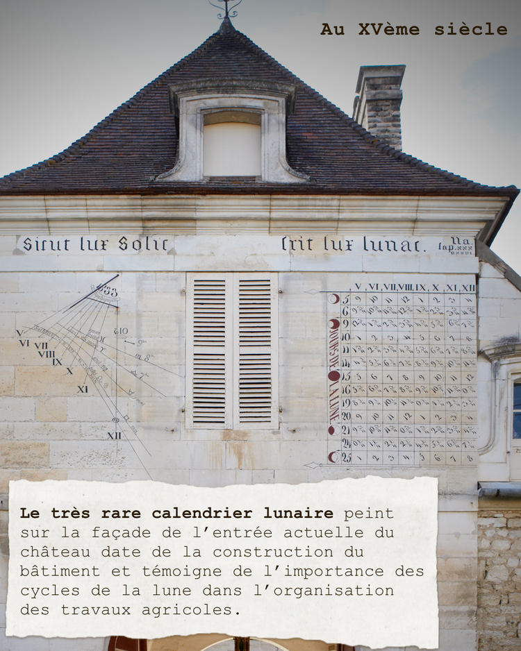 Terroir, Chablis, parcelle Montserre, Château De Béru, vin Bio, Biodynamie, Bio, Demeter, Béru, Bourgogne, Chardonnay, fossiles marins, vibratoire, calendrier, lunaire,