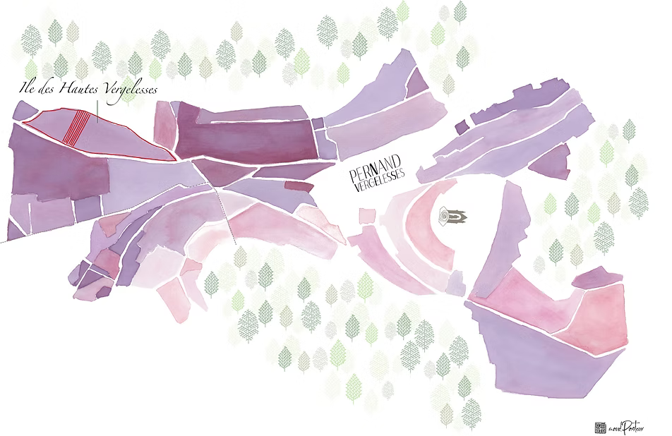 Pernand-Vergelesses 1er Cru Ile des Vergelesses 2023 - Domaine Pavelot