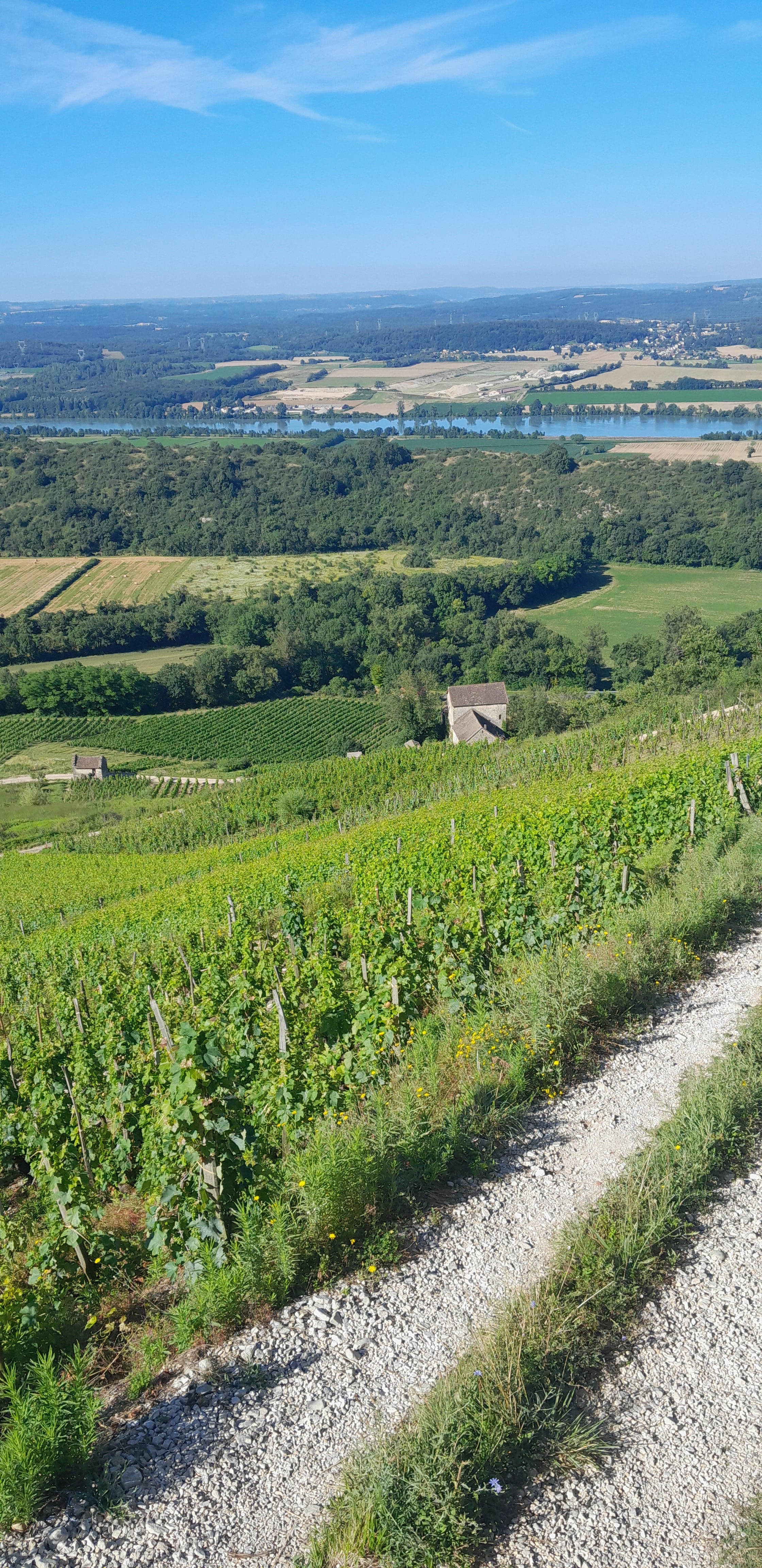 RàS 2020, Cave C'Messieurs, Montagnieu, Bugey, Ain, vins bio, bio, crama cindy, mondeuse, naturel, nature, coteaux, vignes bio, 