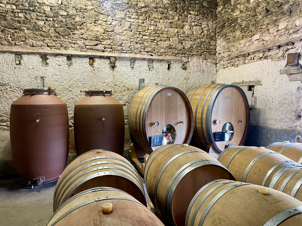 Cave Foudres, fûts et amphores, Domaine des Grouas, Chenin, Loire, Anjou, vin Bio, naturel, nature