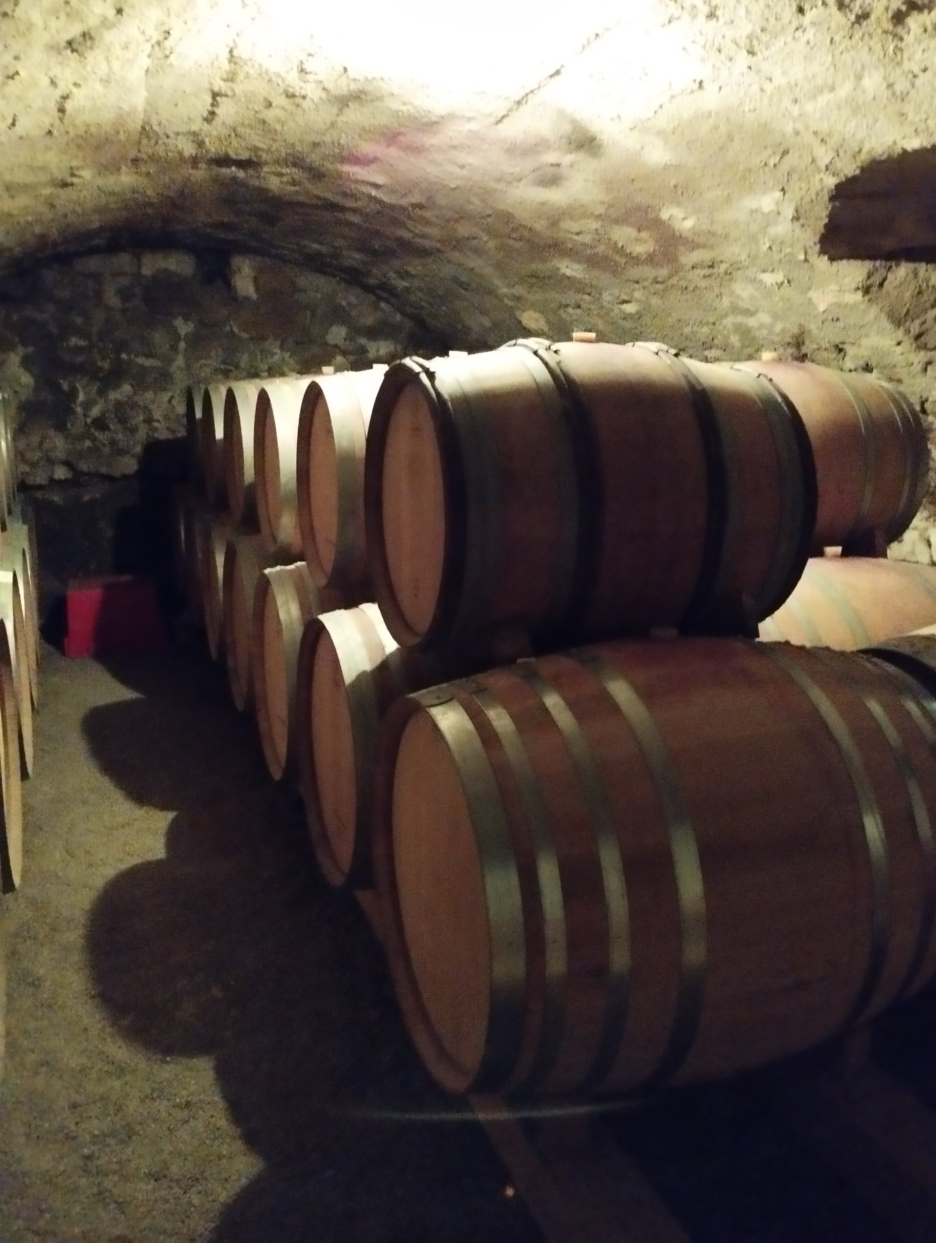 Syrah, Domaine Monier-Perreol, vin Biodynamique, vin Bio, Saint-Joseph, Côtes-du-rhône, Electroculture, vibratoire, grand vin, Fûts, demi-muids