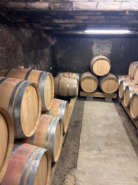 Crozes-Hermitage "Domaine", Domaine des Entrefaux, Crozes-Hermitage, Rhône, vins Bio, Syrah, bio, galets, terroir, Tardy, cave, fûts, 