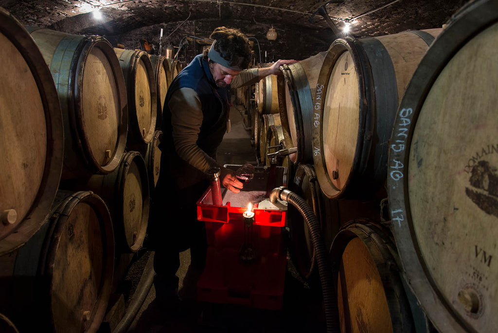 Domaine Chevrot et Fils, bourgogne, santenay, bio, vin bio, cheval, pinot noir, maranges, biodiversité, engrais verts, travail du sol, caves voûtées 18ème s., 2 frères, 