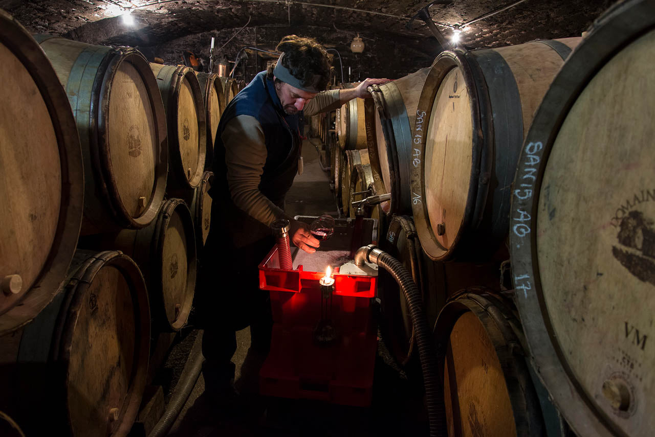 Domaine Chevrot et Fils, bourgogne, santenay, bio, vin bio, cheval, pinot noir, maranges, biodiversité, engrais verts, travail du sol, caves voûtées 18ème s., 2 frères, 