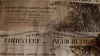 Pernand-Vergelesse, 1er Cru, Les vergelesses, Domaine Pavelot, bourgogne, Bio, pinot noir, naturedevin.com, vin, rouge, grand vin, sans pesticides de synthèse, vins bio, vin bio, bourgogne bio, Corton, Charlemagne, terroir, climat, prestige, paniers, osier, luc pavelot, lise pavelot, concours paris, médaille, 