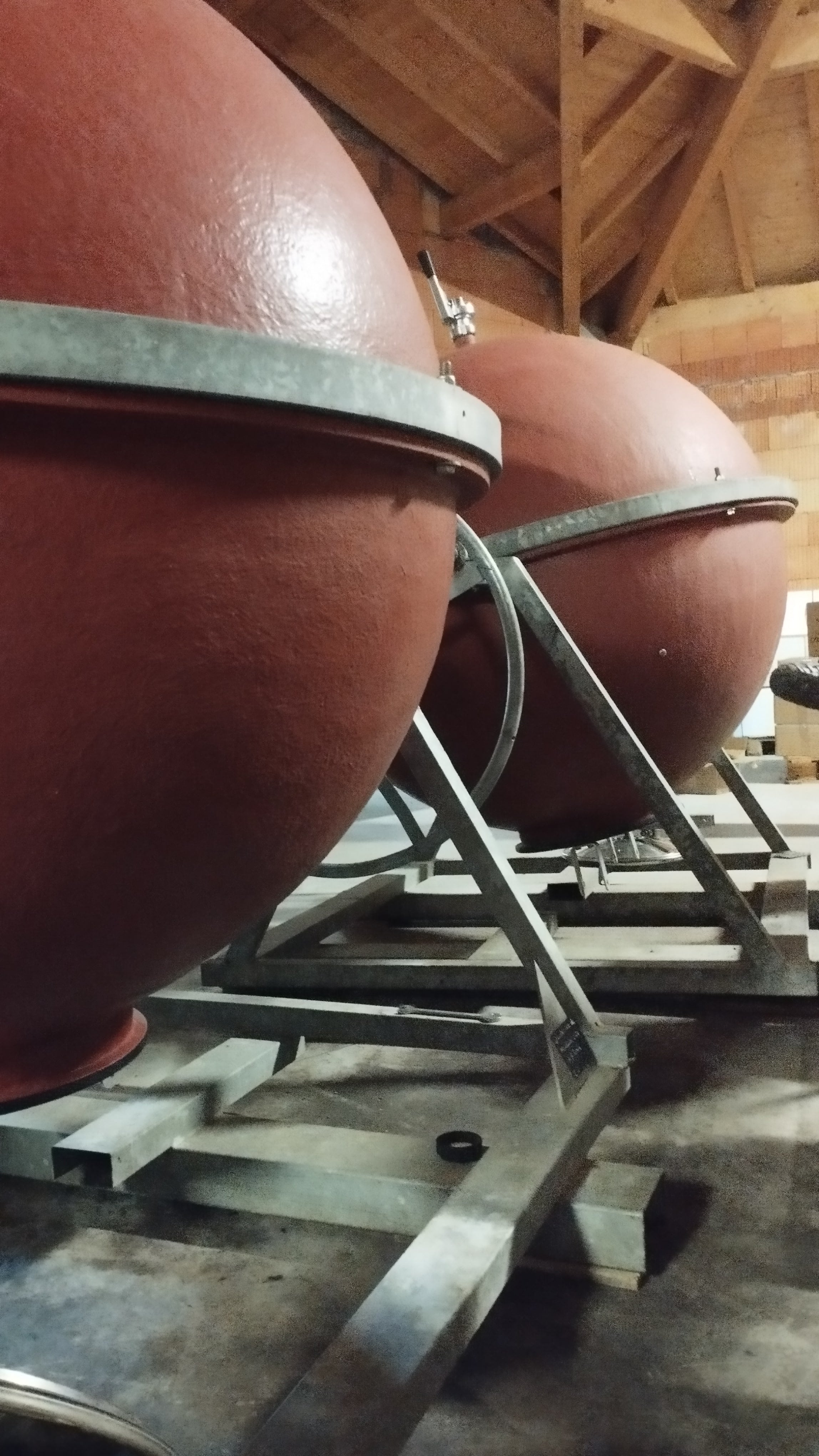 Vignes, coteaux Frangy, 2012, Domaine des Orchis, Héritier, Altesse, Roussette, vin Bio, vi Biodynamique, Biodynamie, vibration, énergie finesse, Savoie, Haute-Savoie, Rhône-Alpes, montagnes, exception, Quintessence Altesse, Mondeuse, Orchis, cuves étonnantes,