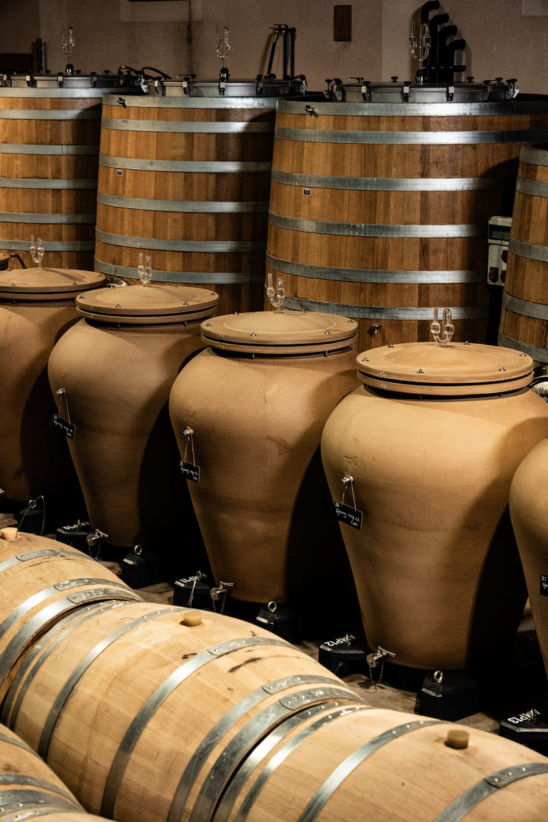domaine sérol, côte roannaise, gamay saint-romain, troisgros, fraîcheur, fruité, vibratoire, énergie, loire, volcanique, granite, naturedevin.com, cuves tronconniques, amphores, fûts, cave sérol, élevage, vinification, vins bio, biodynamie, biodyvin,