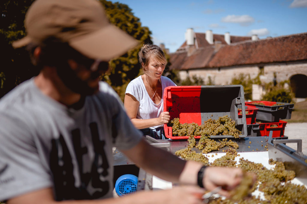 Chablis côte aux Prêtres 2022 - Château De Beru
