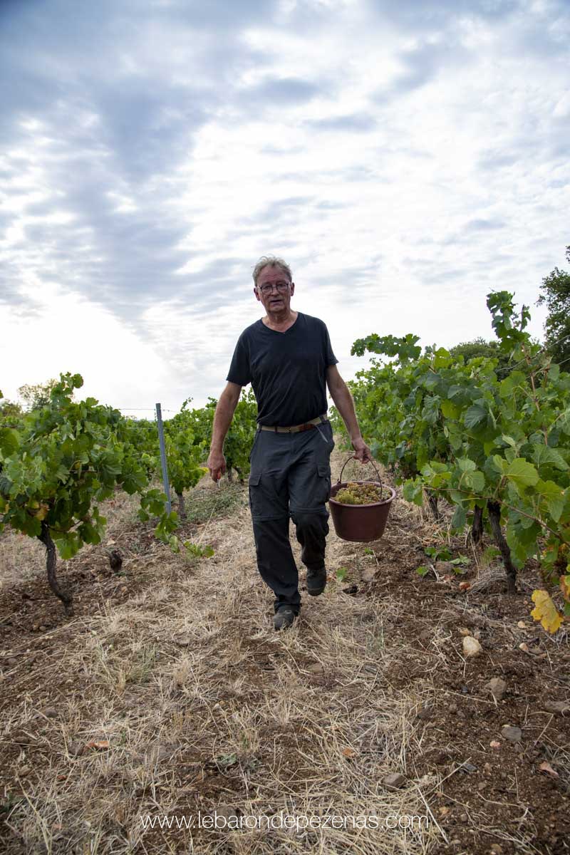 Villafranchien 2022 - Domaine Le Conte des Floris