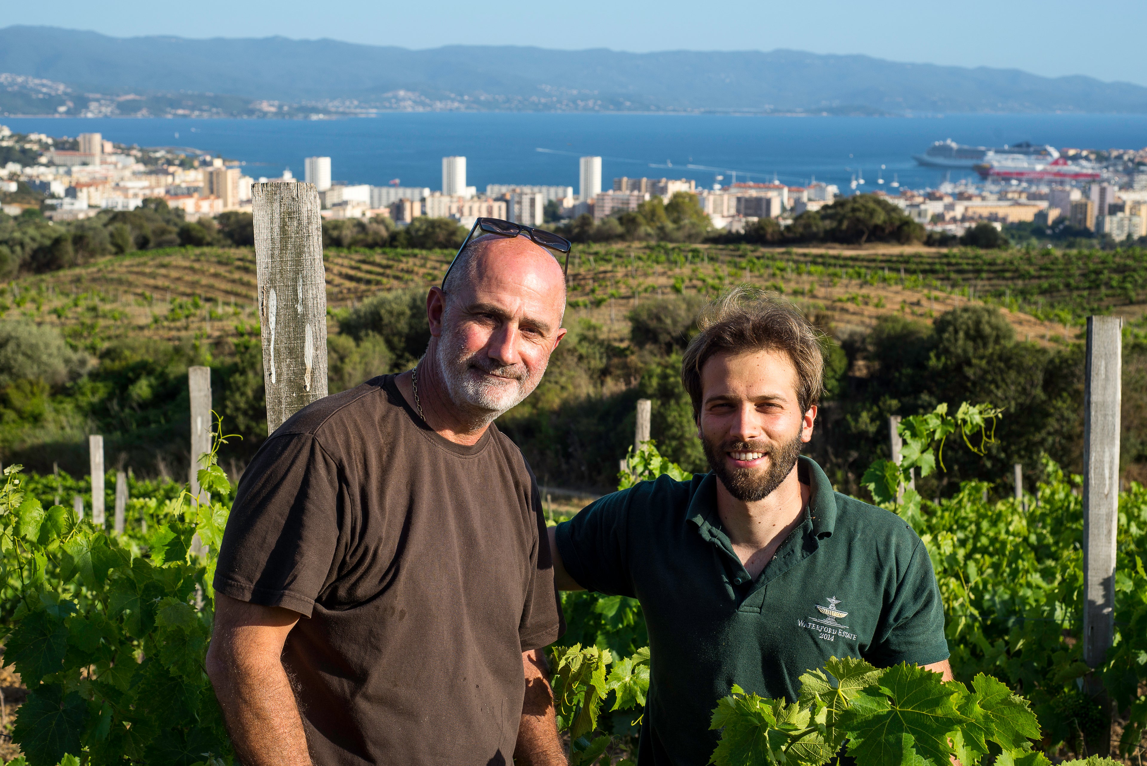 Sorba 2020 - Domaine de La Sorba