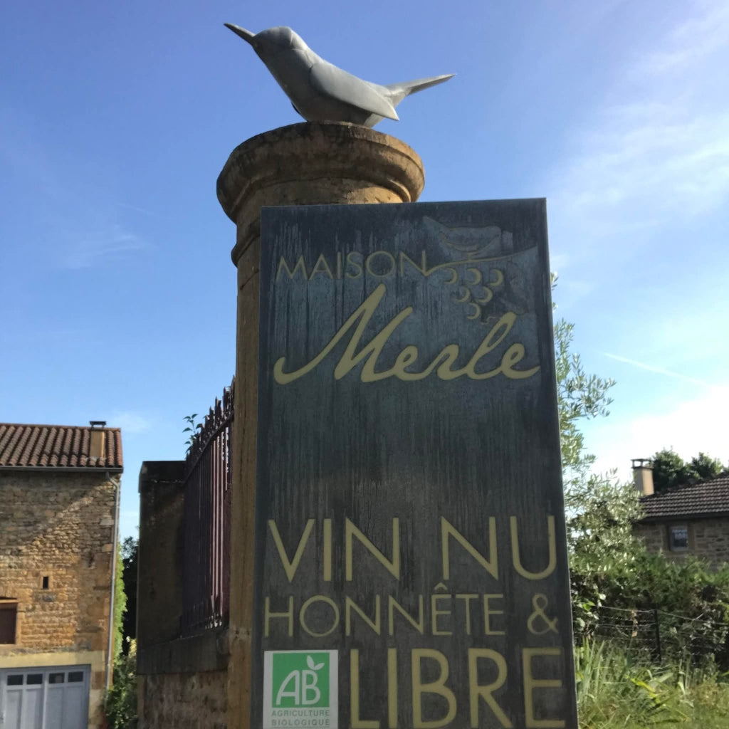 julien merle, beaujolais, gamay, granite, nature, naturel, bio, vins bio, cheval, terroir nature, 