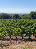 Cep, Domaine Les Eminades, vin, Languedoc, Bettoni, syrah, vin bio, vin biodynamique,  Saint-Chinian, naturel, biodynamique, nature, indigènes, vignes centenaires, 