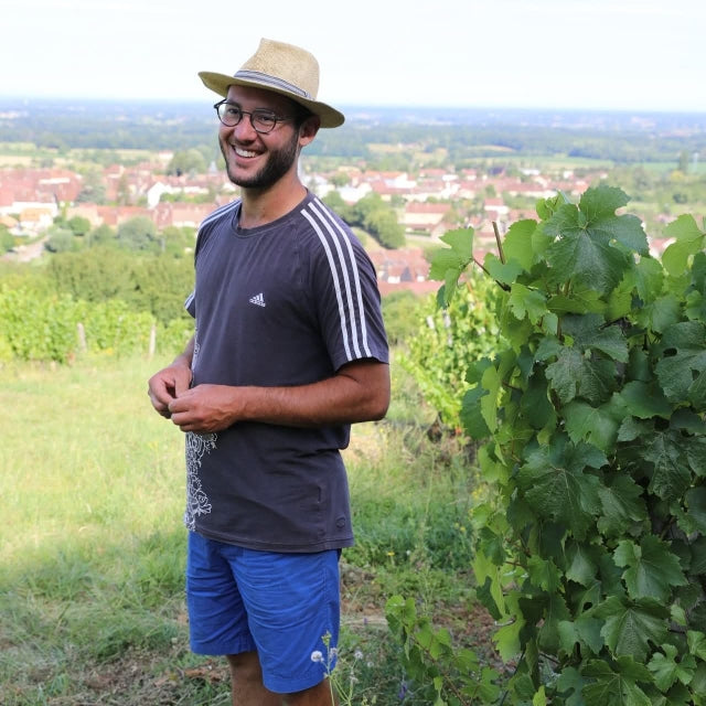 Chardonnay Charmille 2023 - Domaine Guillaume Overnoy