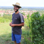 Chardonnay Charmille 2023 - Domaine Guillaume Overnoy