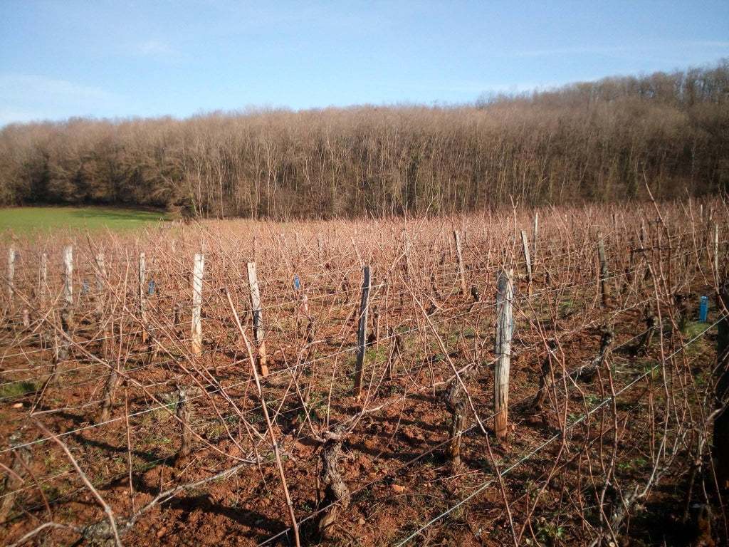 Vin Jaune 2018, Domaine Guillaume Overnoy
