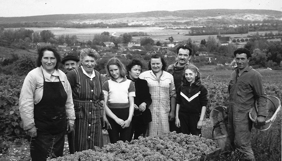 Le vigneron Piollot, Domaine Piollot, Champagne, Brut, Bio, Champagne Bio, Pinot Noir, Chardonnay, sain, vivant, nature, naturel, calcaire, Côte des Bars, vin Bio, bulles Bio,