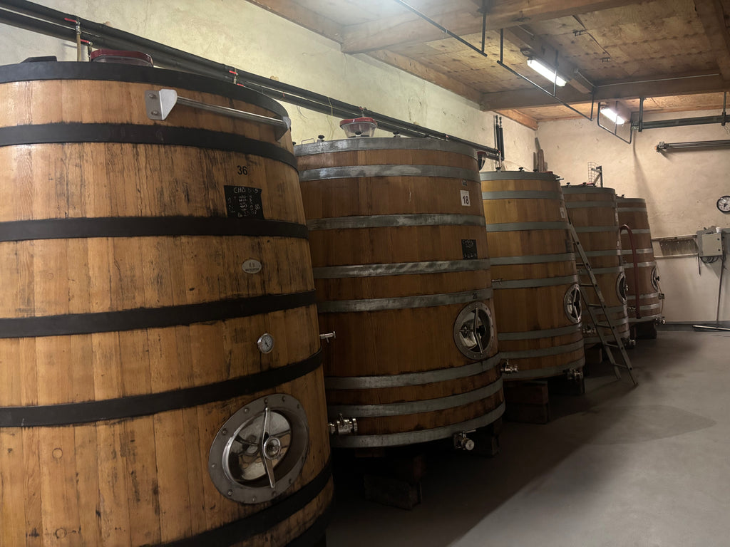 Crozes-Hermitage "Domaine", Domaine des Entrefaux, Crozes-Hermitage, Rhône, vins Bio, Syrah, bio, galets, terroir, Tardy, cave, fûts, foudres