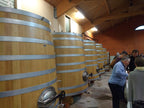 vignes, domaine Sérol, Côte Roannaise, frères Troigros, roanne, loire volcanique, vin Bio, vins bio, vins biodynamique, biodynamie, gamay, saint-romain, granite, volcan, eclat, 
