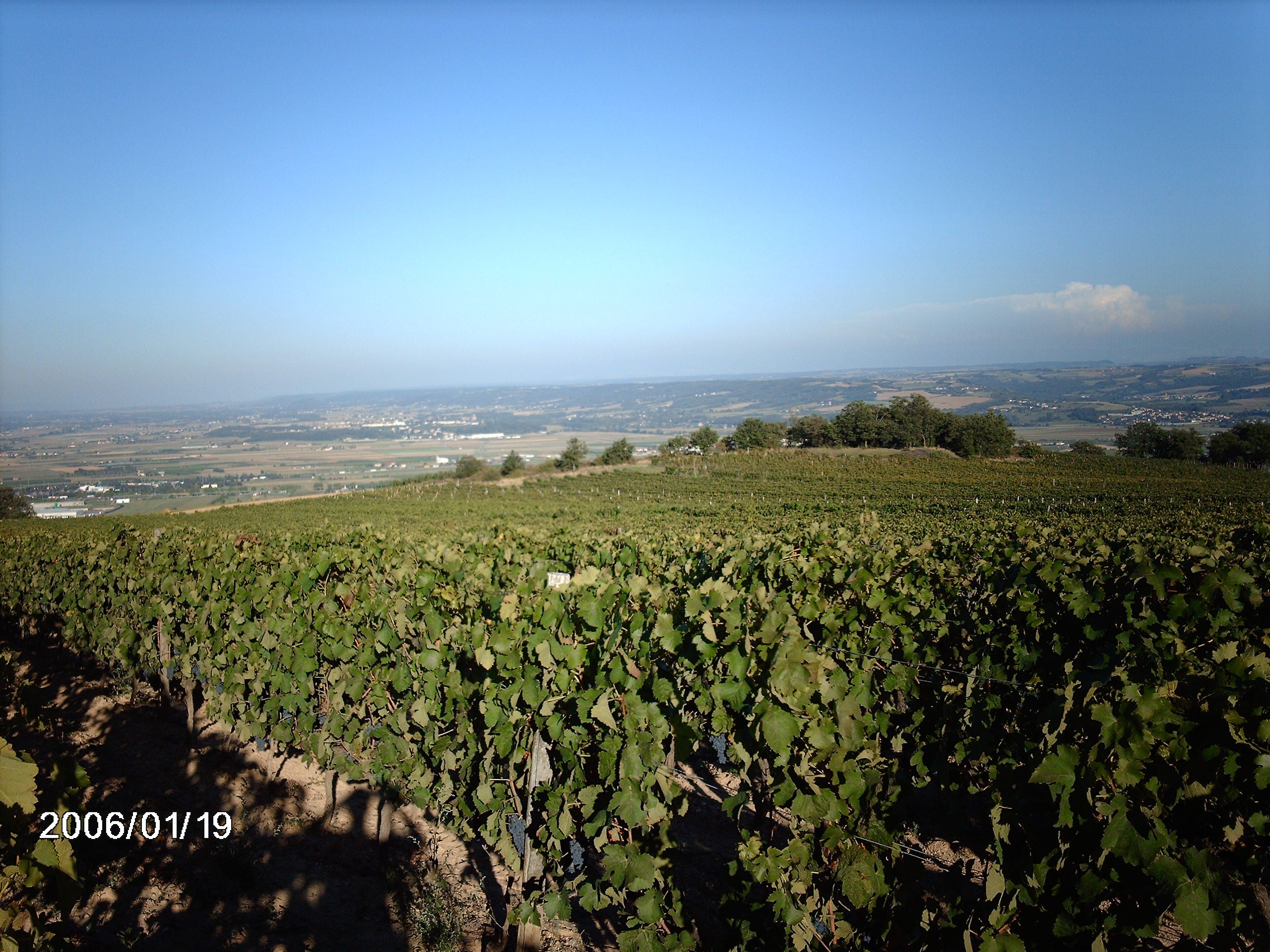 Tradition 2021 - Domaine Monier Perréol