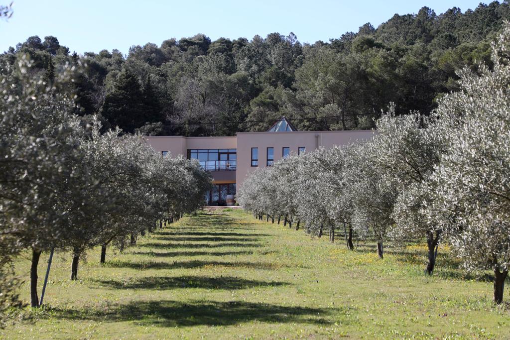 Juste une goutte 2023 - Domaine de la Guicharde