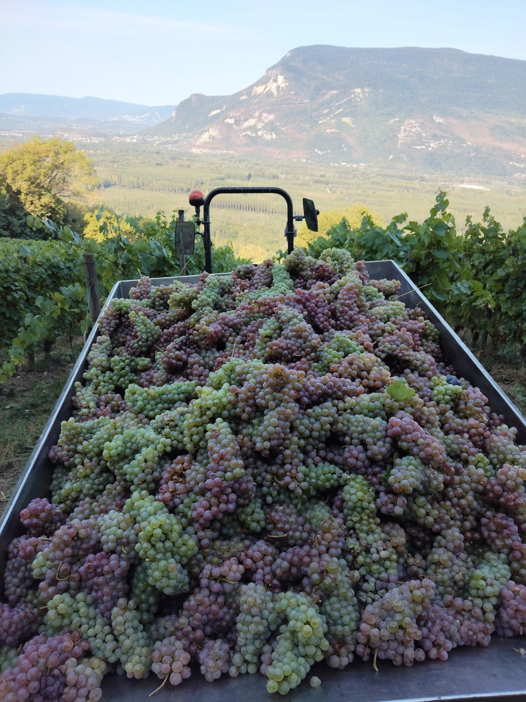 L'esperluette 2025 - Domaine de l'Arbessieux