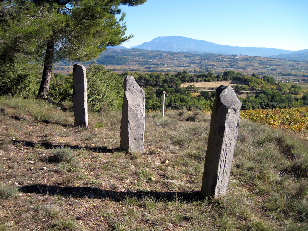 Horus 2023 - Domaine Viret