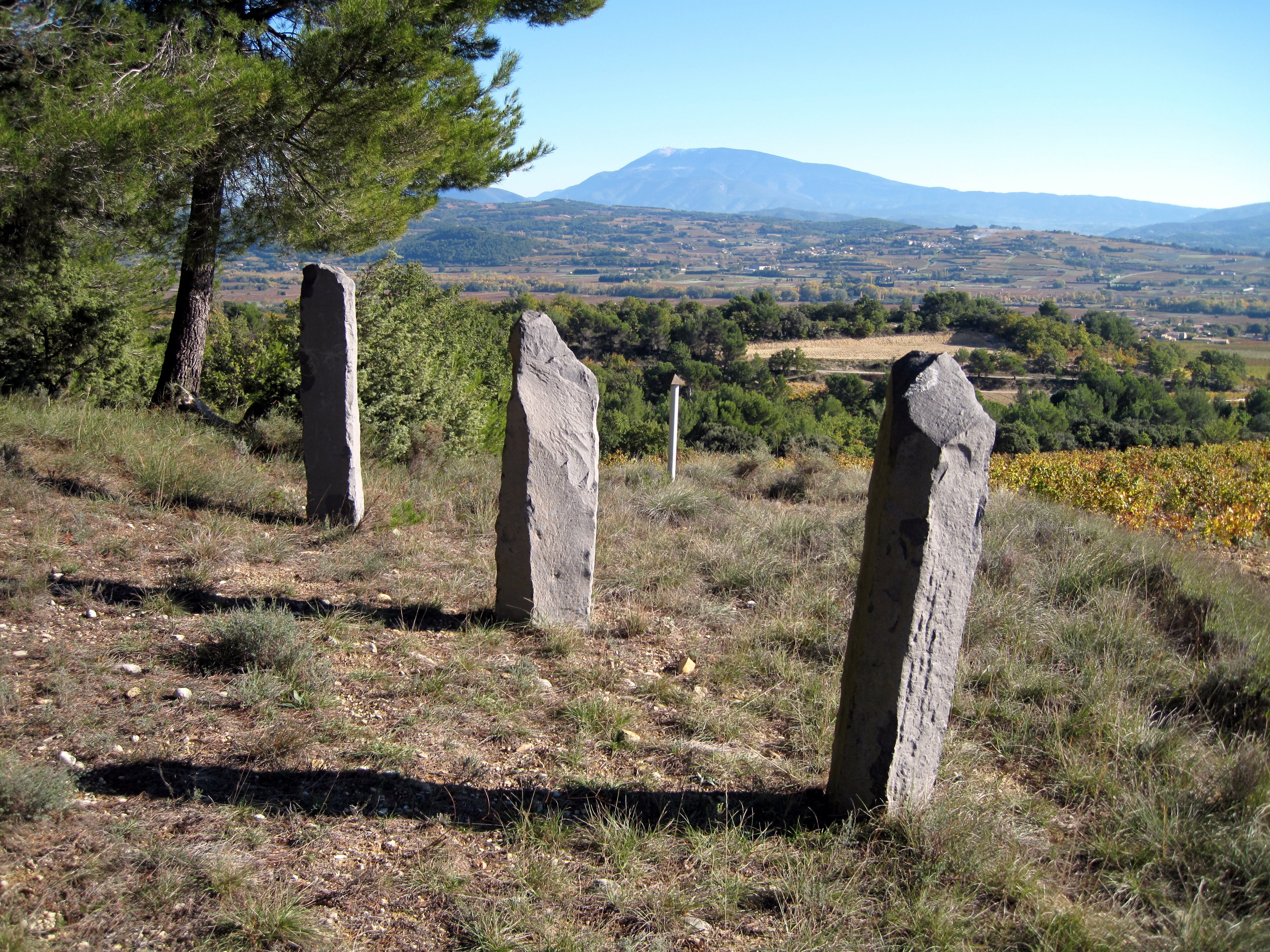 Horus 2023 - Domaine Viret