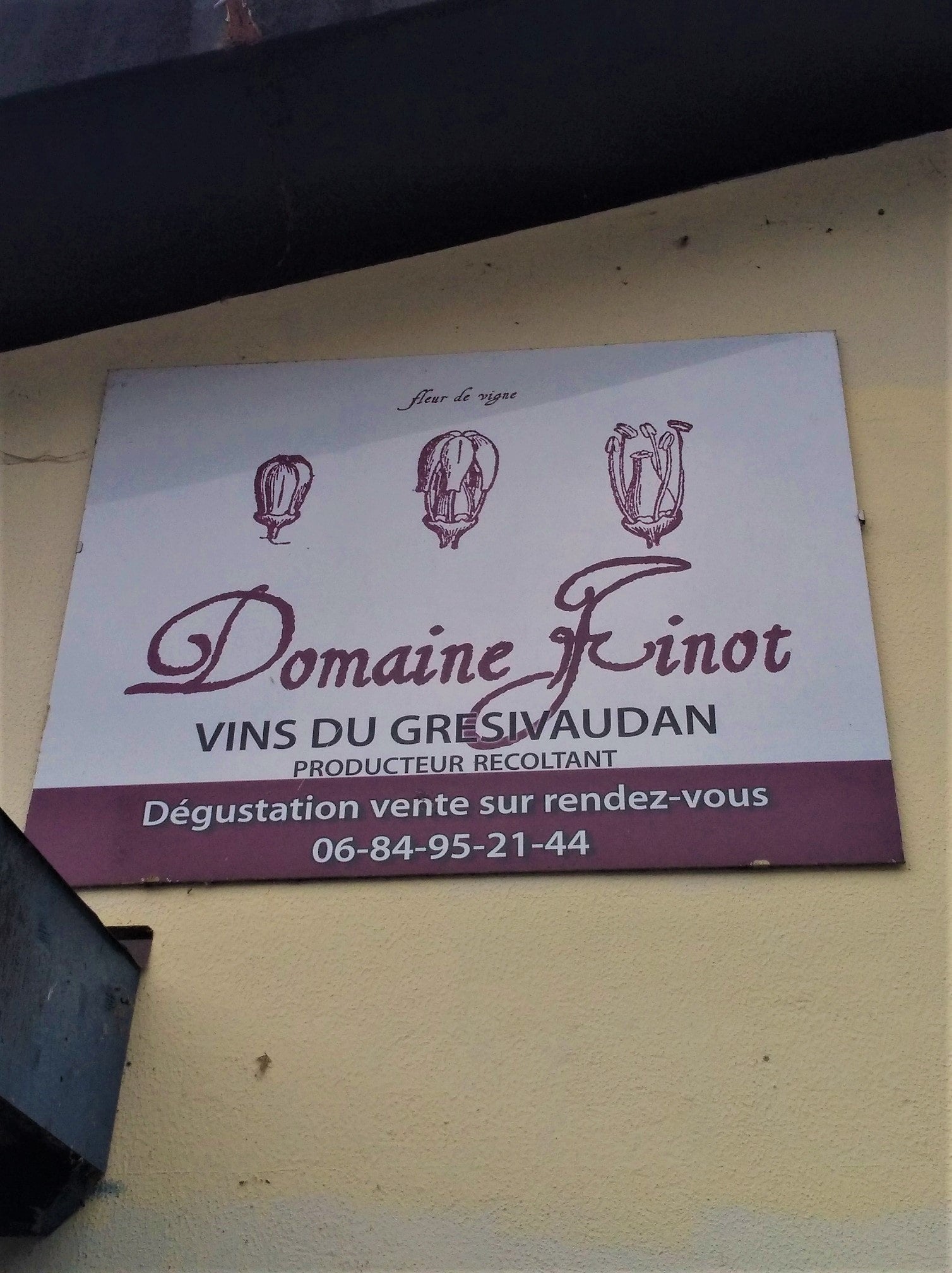 Chardonnay 2024 - Domaine Finot