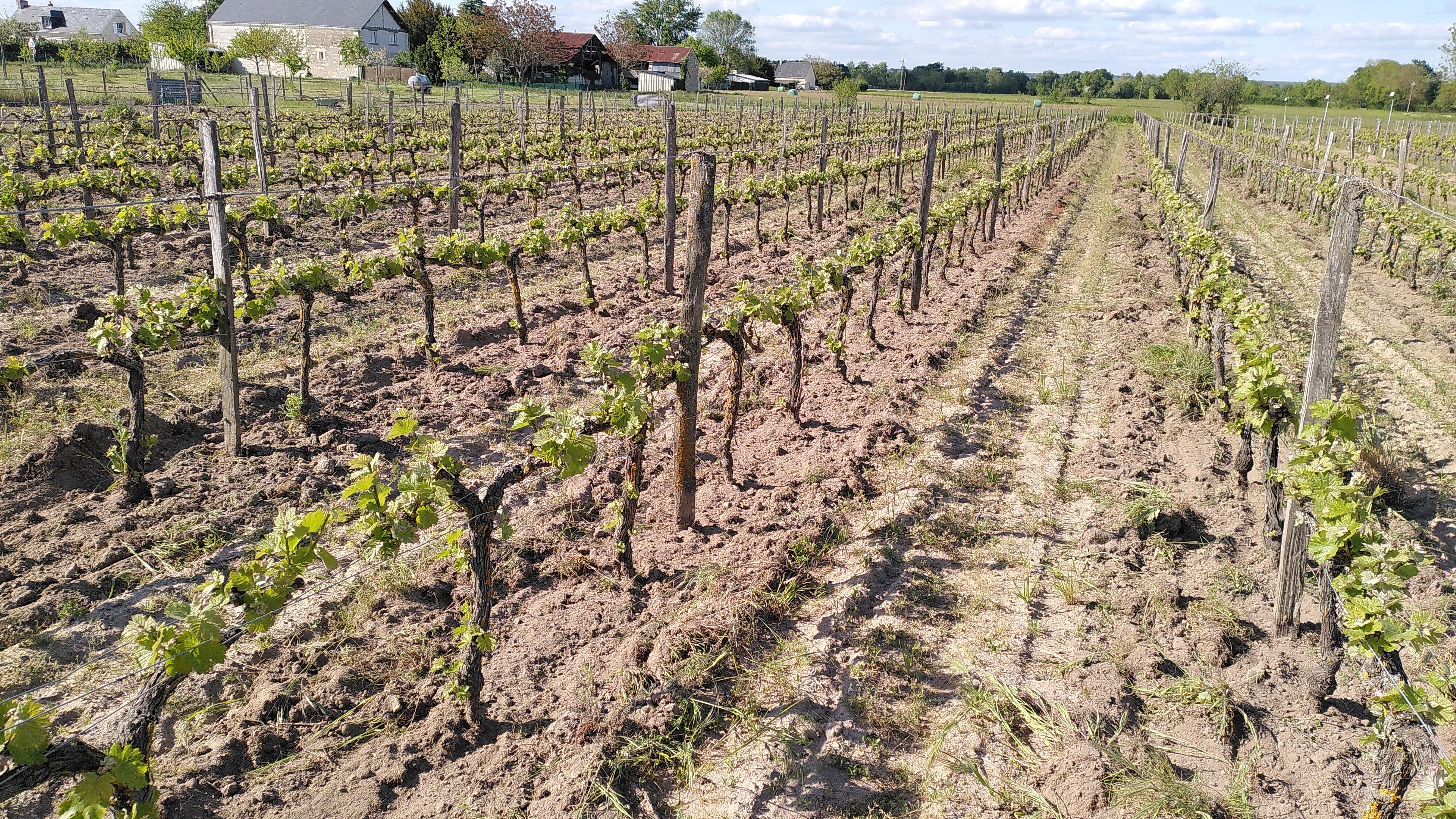 Nouvelle Lune 2022 -  Domaine Laurent Herlin