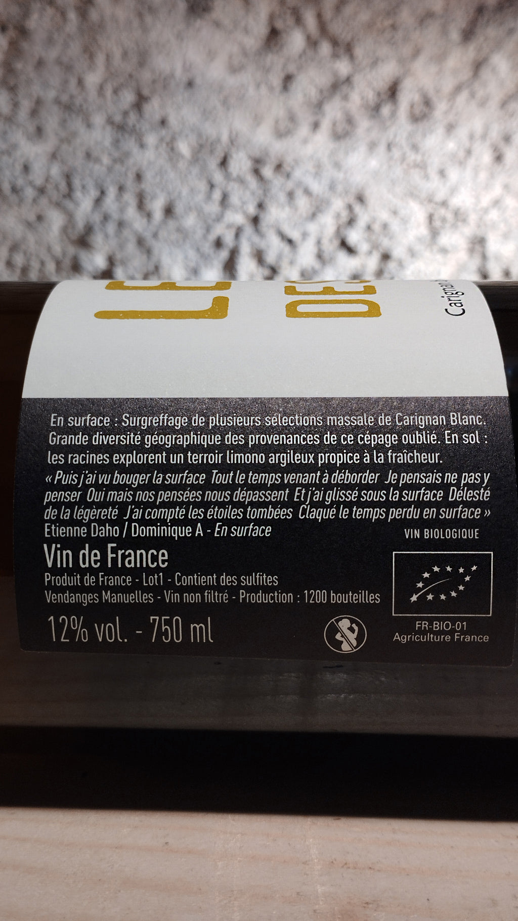 En Surface 2022 - Le Temps des Rêveurs