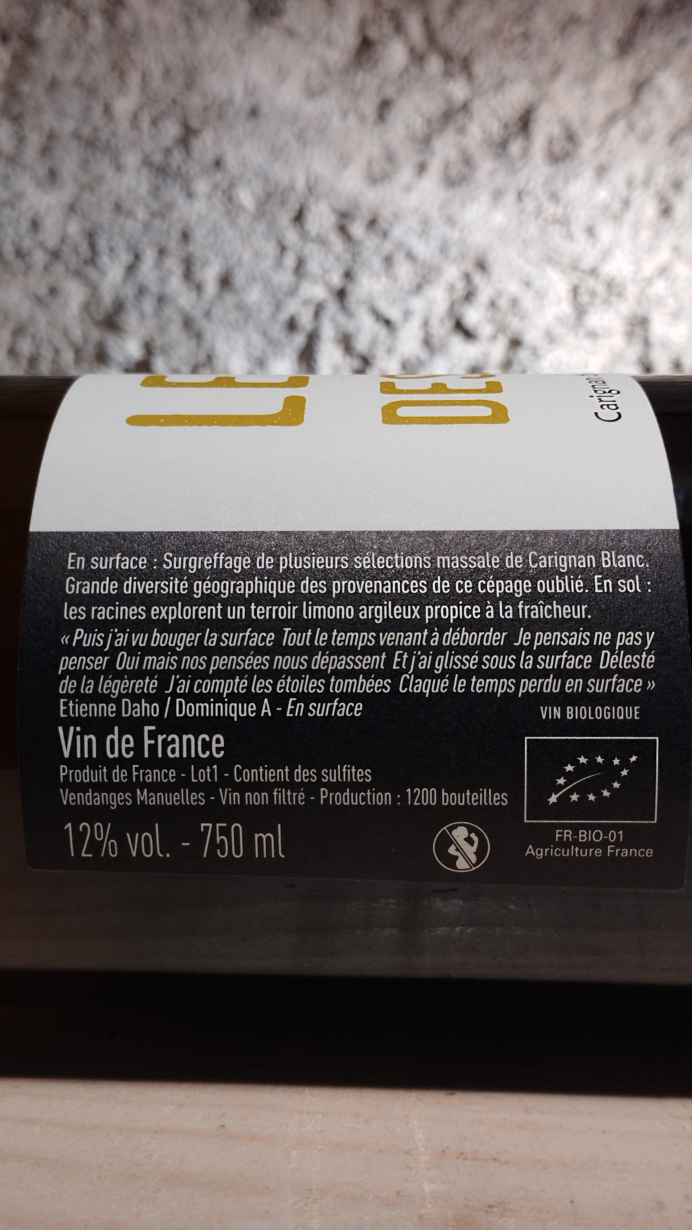 En Surface 2022 - Le Temps des Rêveurs