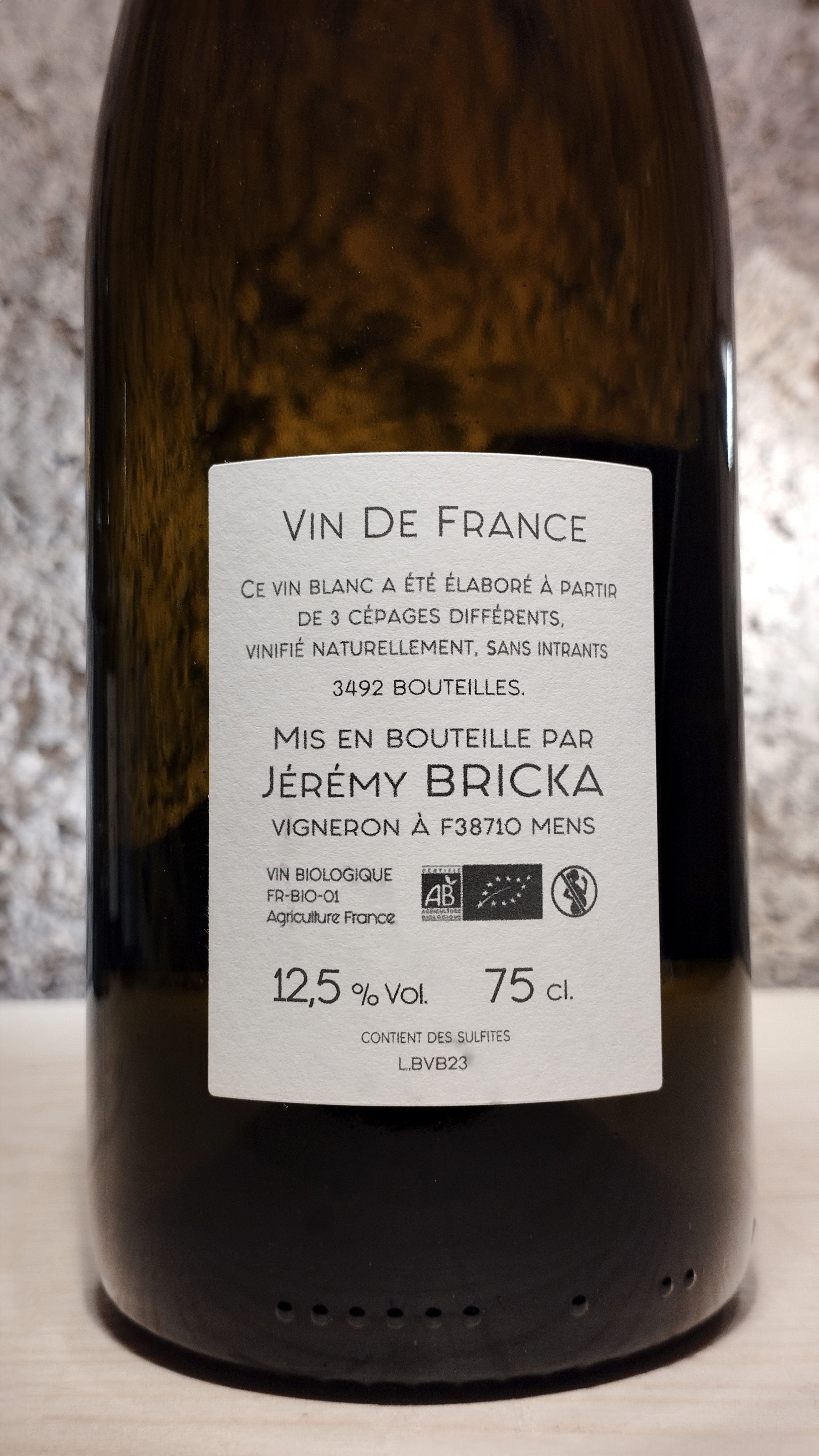 Bivouac 2023 - Jérémy Bricka