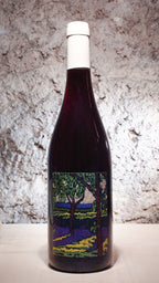 Bourgueil Le Cabernet Franc 2022 - Domaine Breton