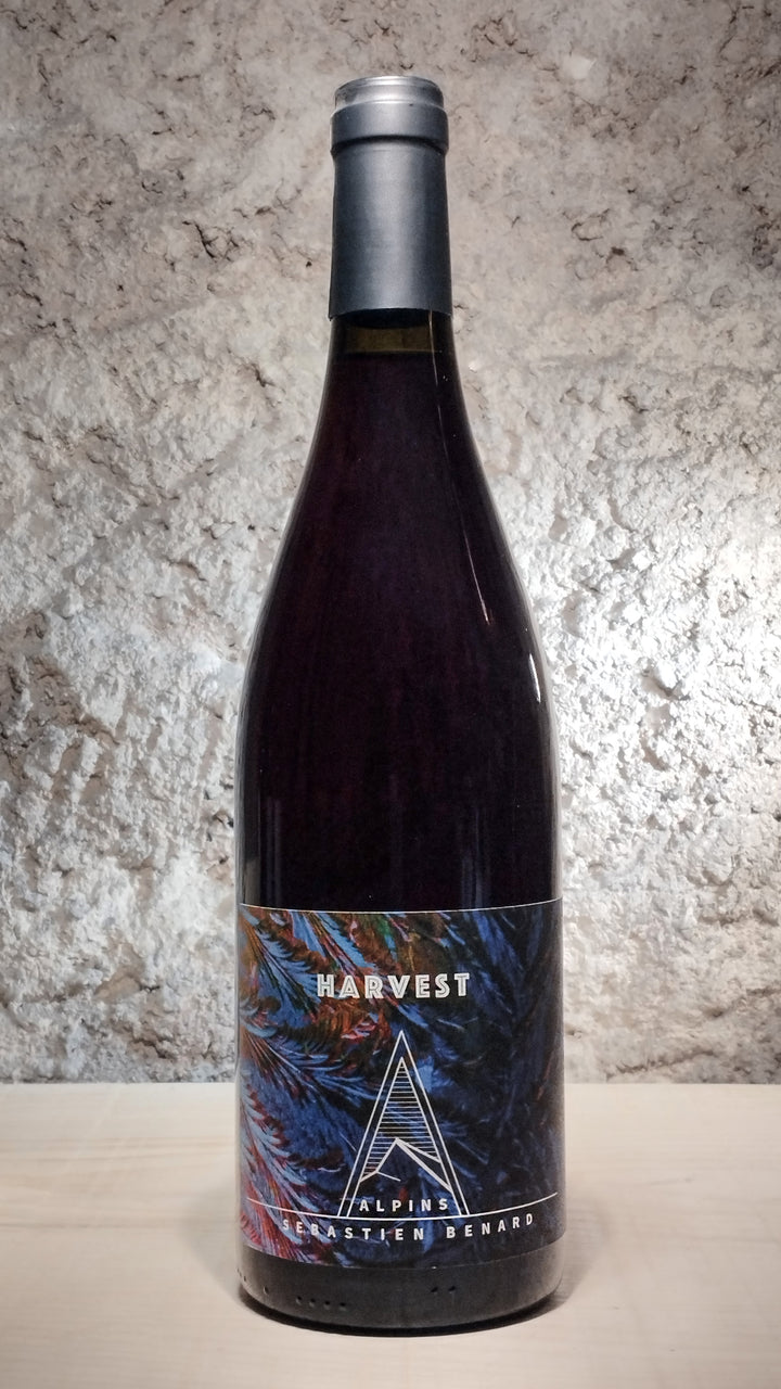 Harvest 2022-23 - Domaine Alpins