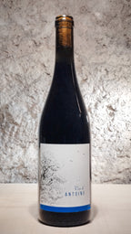 Vin d'Antoine 2021 - Domaine Saint-Nicolas