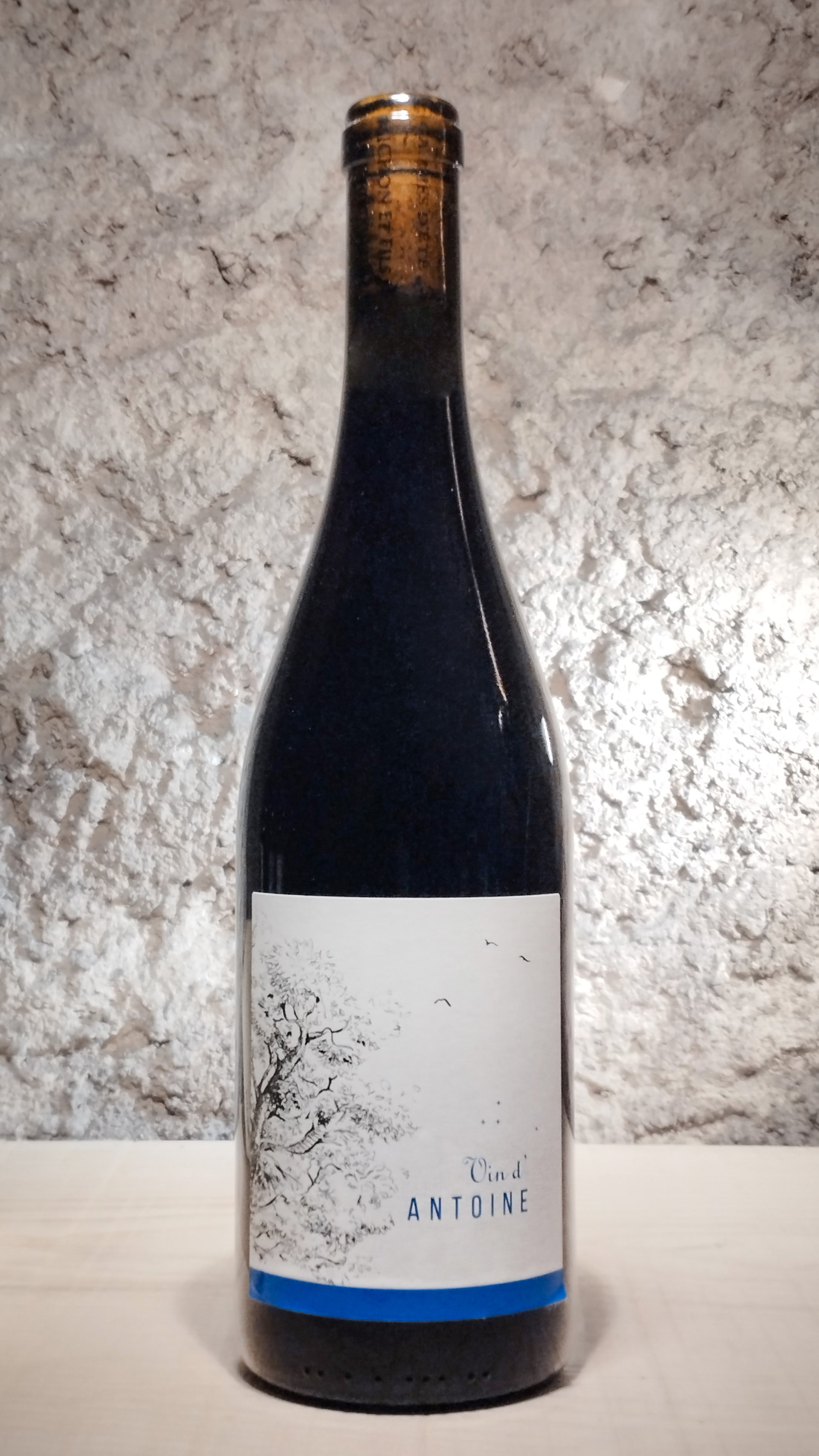 Vin d'Antoine 2021 - Domaine Saint-Nicolas