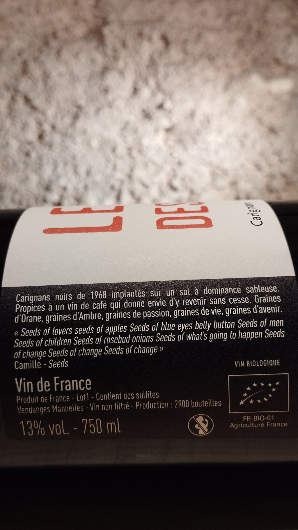 Pépins 2023 - Le Temps des Rêveurs