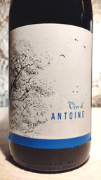 Vin d'Antoine 2021 - Domaine Saint-Nicolas