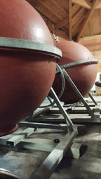 Quintessence d’Altesse 2023 - Domaine des Orchis