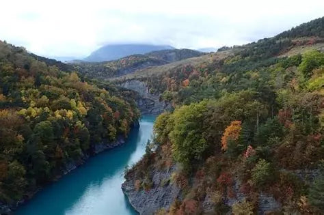 Vin Bio, naturel, vieux cépages, passion, vin, Isère, prestige, coteaux, Domaine Bricka
